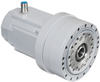 Washdown Gear Motor -- AKM62L-F2CS-A35-59 - Image