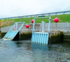 Self Regulating Tide Gates - McWane Plant and Industrial