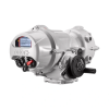 Electric Intelligent Actuators, IQT3M Pro - Modulating - Image