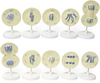 Mammal Cell Meiosis - B10506 - Parco Scientific Company