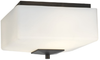 F602570U Flush Mounts-Bowl Style - 456476 - Capital Lighting, Inc.
