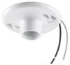 Incandescent Lampholder -- RL8506 - Image
