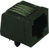 Cat3 Rj45 Modular Jack, 8 Position, 1 Port; Modular Connector Type Amp - Te Connectivity - 29AC0305 - Newark, An Avnet Company