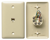 Datacommunication Face Plate with Jack - NS732I - Hubbell Incorporated