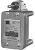 General/Heavy Duty Limit Switch -- 10316H2170 - Image