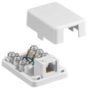 Datacommunication Face Plate with Jack - NS761W - Hubbell Incorporated