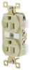 Duplex/Single Receptacle -- BRY5262 - Image
