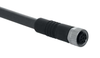Pre-wired cable - M8 - 8-pole - A-K8P-M8-S-G-5M-BK-2-X-A-4 (V2) -  - Schmersal Inc.