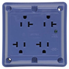 Surge Suppression Receptacle -- 420-BLSP