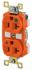 Duplex/Single Receptacle -- BRY5362IG - Image