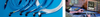 TCAS Cable Sets - Image