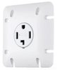 Straight Blade Power Receptacle -- RR430WIPCN - Image