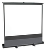 Road Show Portable Screen - 80