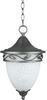 Exterior -Hanging - 319478 - Light Center (The)