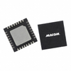 RF Misc ICs and Modules - MAMF-011069-TR1000 - Quarktwin Technology Ltd.