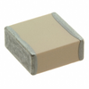 Ceramic Capacitors -- 100E330JW3600XJ24 - Image