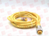 QD Cable/Cord Set - 4068876 - Radwell International