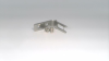 Limit Switch - Radwell International