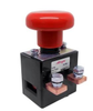 Disconnect Switch - Radwell International