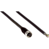 Circular Cable Assemblies - 1882-6049511-ND - DigiKey
