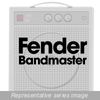 Transformers - Guitar Replacement - Fender - 290D2X - Hammond Manufacturing Company Inc.