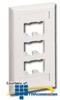 Panduit® Mini-Com Classic Series Faceplates with.. - CFPL6 - TelephoneStuff.com