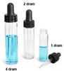 Clear Glass Vials with Black Bulb Glass Droppers -- 4061-76