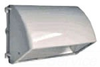 Outdoor Wall Light - WP2CSN150W/PC - RAB Lighting