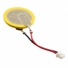 Batteries Non-Rechargeable (Primary) -- 1110-AFPX-BATT-ND - Image