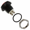 Switches - Pushbutton Switches -- PV2H640NN - Image