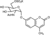 4-Methylumbelliferyl 6-Sulfo-2-acetamido-2-deoxy-α-D-.. - 12314 - Medical Isotopes, Inc.