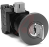 Switch,2 Position KEY Switch,2NO,MAINTAINED - 70174982 - Allied Electronics, Inc.