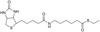 6-(Biotinylamino)thiocaproic Acid, S-Ethyl Ester - 7419 - Medical Isotopes, Inc.