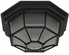 Exterior -Ceiling Mount - 313094 - Light Center (The)