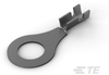 Ring Terminals - 60700-2 - TE Connectivity