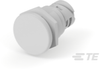 Push Button Switches - K1165542 - TE Connectivity