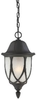 190079030 Exterior -Hanging - 399046 - Capital Lighting, Inc.