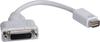 Mini DVI to DVI Cable Adapter, Video Converter for Macbooks and iMacs, 1920x1200 (Mini DVI to DVI-D M/F) -- P138-000-DVI