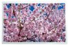LCD Colour Displays - 2540015 - RS Components, Ltd.