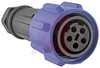 Connector; Socket; 5; 127 mm; 50 mm (Min.); 13 to 15 mm; 32 A; 600 V; -40 degC - 70099172 - Allied Electronics, Inc.