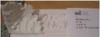 Plaster Cornice Corner - 504-141A - Deco Craft USA