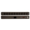 Basic, Surge, Power Switch, Breakered, 20 Amp 10 Outlet NEMA 5-20R PDU with 5-20P - 9BG1-101009 - Belden Inc.