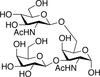 2-Acetamido-6-O-(2-acetamido-2-deoxy-β-D-glucopyranos.. - A134300 - Toronto Research Chemicals, Inc.