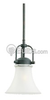 Single-Light Mini-Pendant Fixture - 61283BLE-814 - bulbs.com