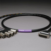 CANARE 8CH DB25 Audio Snake Cable 25-PIN TO 3-PIN XLR MALES -- 20DA88202-DB25XP-006 - Image