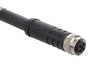 Safety-Fieldboxes - SFB Pre-wired cable and connecting cables - M12- pre-wired power cable - M12 Power - A-K4P-M12P-S-G-5M-BK-2-X-T-4 -  - Schmersal Inc.