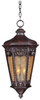 Exterior -Hanging - 81602 - Light Center (The)