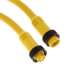 Circular Cable Assemblies - WM21632-ND - DigiKey