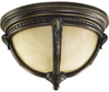 3720-13839 Exterior -Ceiling Mount - 701170 - Capital Lighting, Inc.