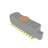 Headers, Receptacles, Female Sockets - SFC-110-T2-F-D-K-ND - DigiKey